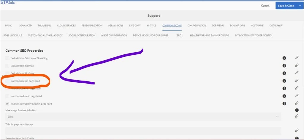 Implementing the No-Index Tag in AEM