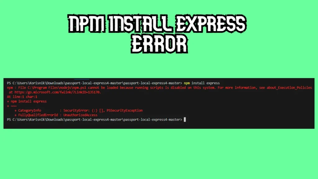 npm install express error