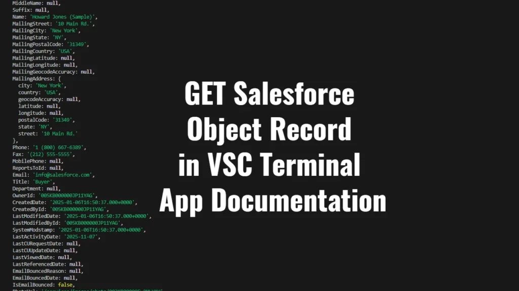 GET Salesforce Object Record in VSC Terminal App Documentation