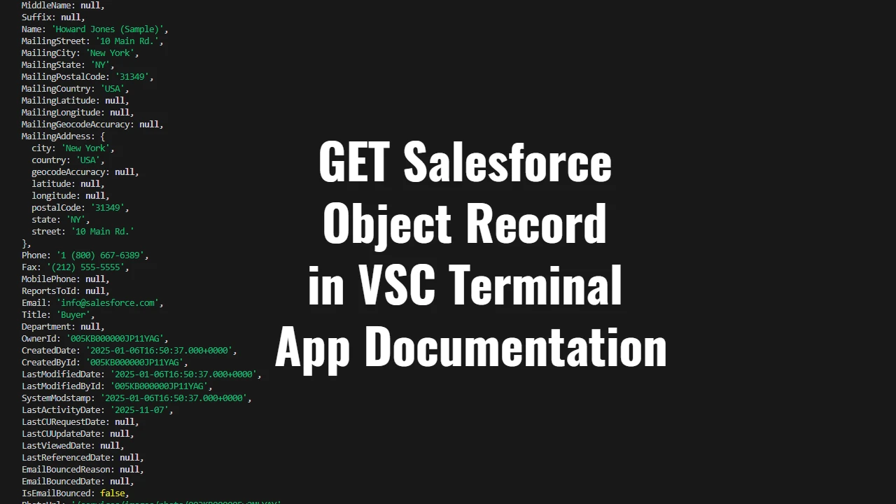 GET Salesforce Object Record in VSC Terminal App Documentation