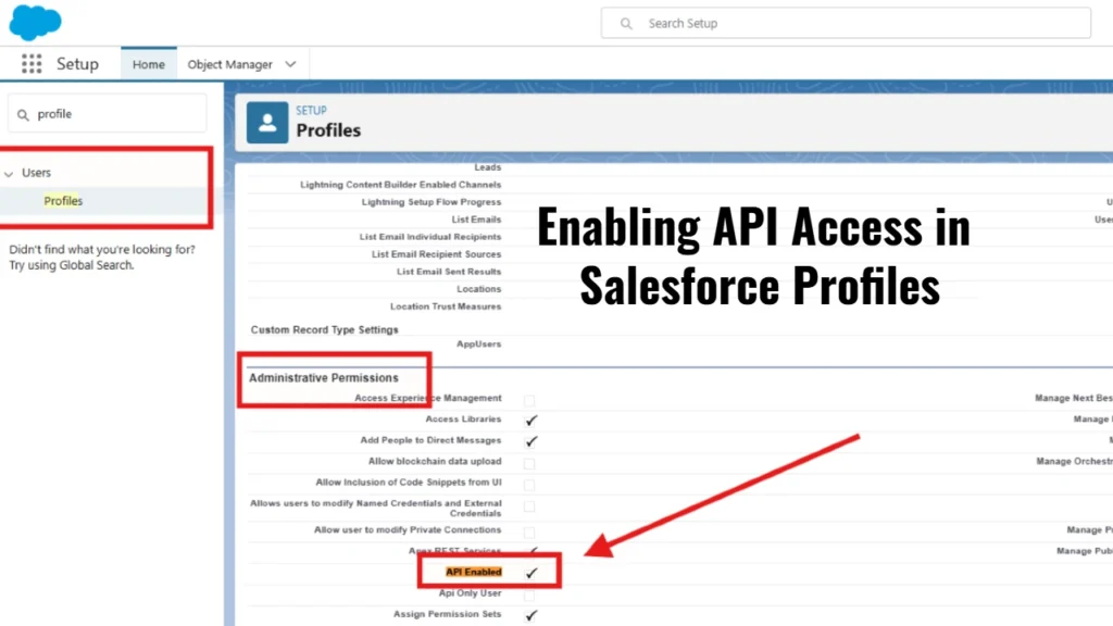 Enabling API Access in Salesforce Profiles(1)