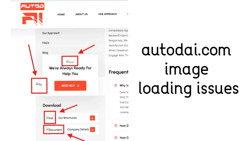 autodai.com image loading issues